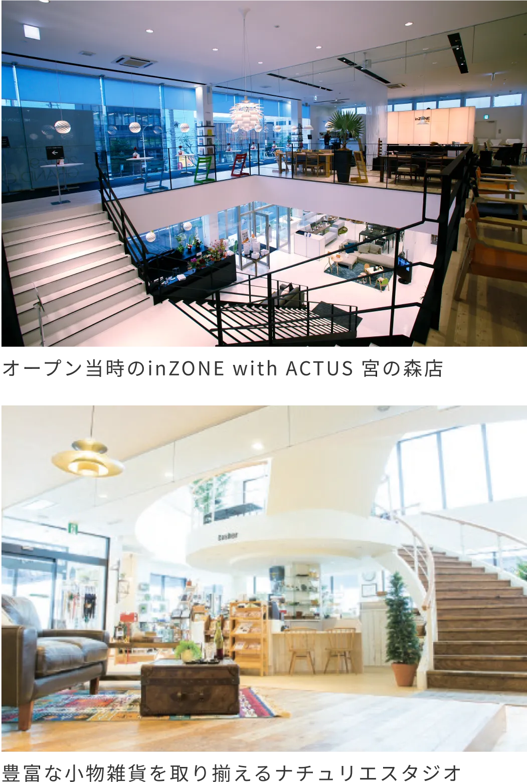 画像：オープン当時のinZONE with ACTUS 宮の森店/豊富な小物雑貨を取り揃えるナチュリエスタジオ